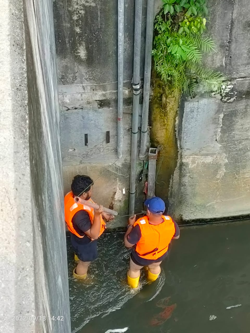 WhatsApp Image 2025-05-08 at 4.14.13 PM (2)